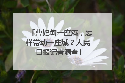 曹妃甸一座港，怎样带动一座城？人民日报记者调查